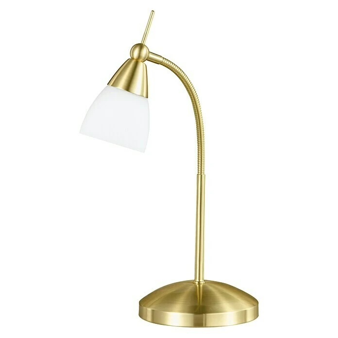 Paul Neuhaus Pino Tischleuchte 28 W, L X B X H: 28 X 28 X 44,5 Cm, Messing Matt, G9 3 Paul Neuhaus Pino Tischleuchte 28 W, L X B X H: 28 X 28 X 44,5 Cm, Messing Matt, G9