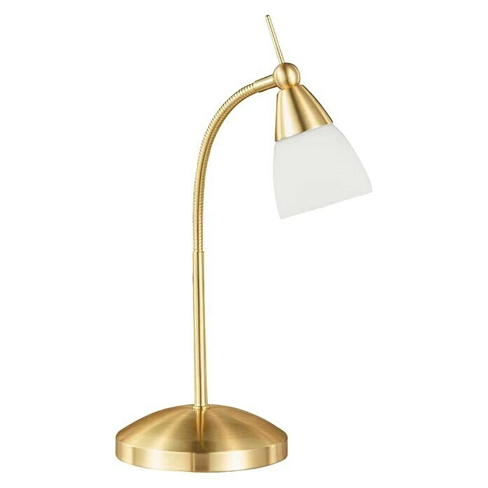 Paul Neuhaus Pino Tischleuchte 28 W, L X B X H: 28 X 28 X 44,5 Cm, Messing Matt, G9 4 Paul Neuhaus Pino Tischleuchte 28 W, L X B X H: 28 X 28 X 44,5 Cm, Messing Matt, G9 – Bild 2