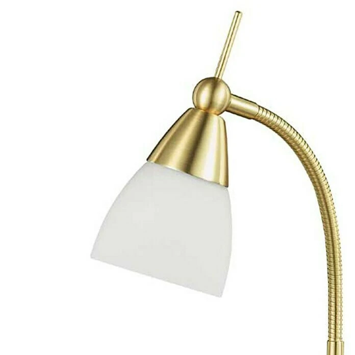 Paul Neuhaus Pino Tischleuchte 28 W, L X B X H: 28 X 28 X 44,5 Cm, Messing Matt, G9 5 Paul Neuhaus Pino Tischleuchte 28 W, L X B X H: 28 X 28 X 44,5 Cm, Messing Matt, G9 – Bild 3