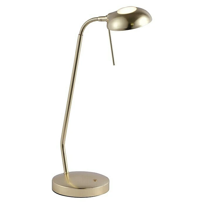 Paul Neuhaus LED-Tischleuchte 3 W, L X B X H: 28 X 26 X 58 Cm, Messing Matt, Warmweiß 3 Paul Neuhaus LED-Tischleuchte 3 W, L X B X H: 28 X 26 X 58 Cm, Messing Matt, Warmweiß