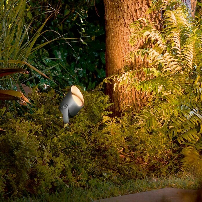 Philips Hue LED-Gartenspot Lily Höhe: 19 Cm, 15 W, Metall 7 Philips Hue LED-Gartenspot Lily Höhe: 19 Cm, 15 W, Metall – Bild 5