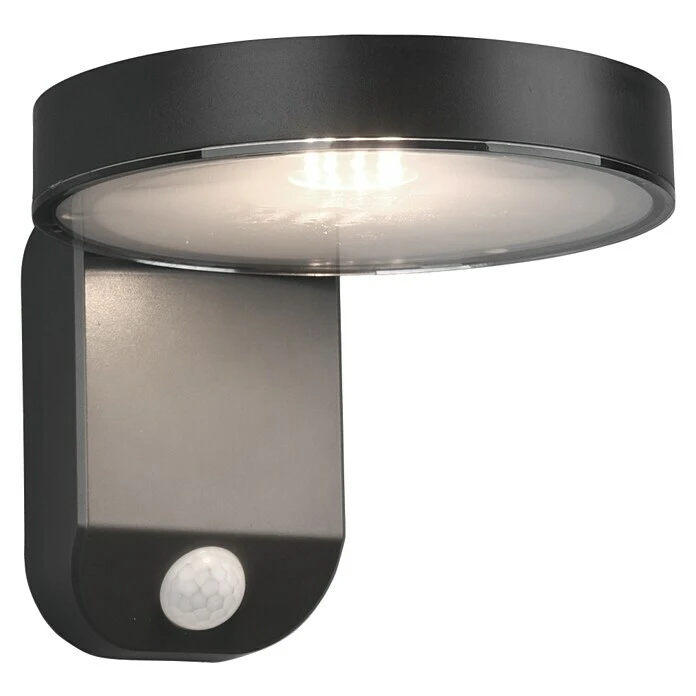 Reality Leuchten LED-Sensor-Außenwandleuchte POSADAS L X B X H: 18,3 X 15 X 12 Cm, Warmweiß 3 Reality Leuchten LED-Sensor-Außenwandleuchte POSADAS L X B X H: 18,3 X 15 X 12 Cm, Warmweiß