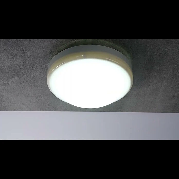 Ritter Leuchten LED-Rundleuchte Weiß 4 Ritter Leuchten LED-Rundleuchte Weiß – Bild 2