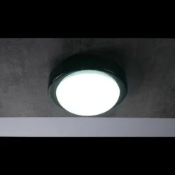 Ritter Leuchten LED-Rundleuchte Schwarz -Beleuchtung 12 4192