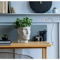 Globo Serpent LED-Klemmleuchte 1-flammig, 3 W, Chrom/Nickel Matt -Beleuchtung 12 956